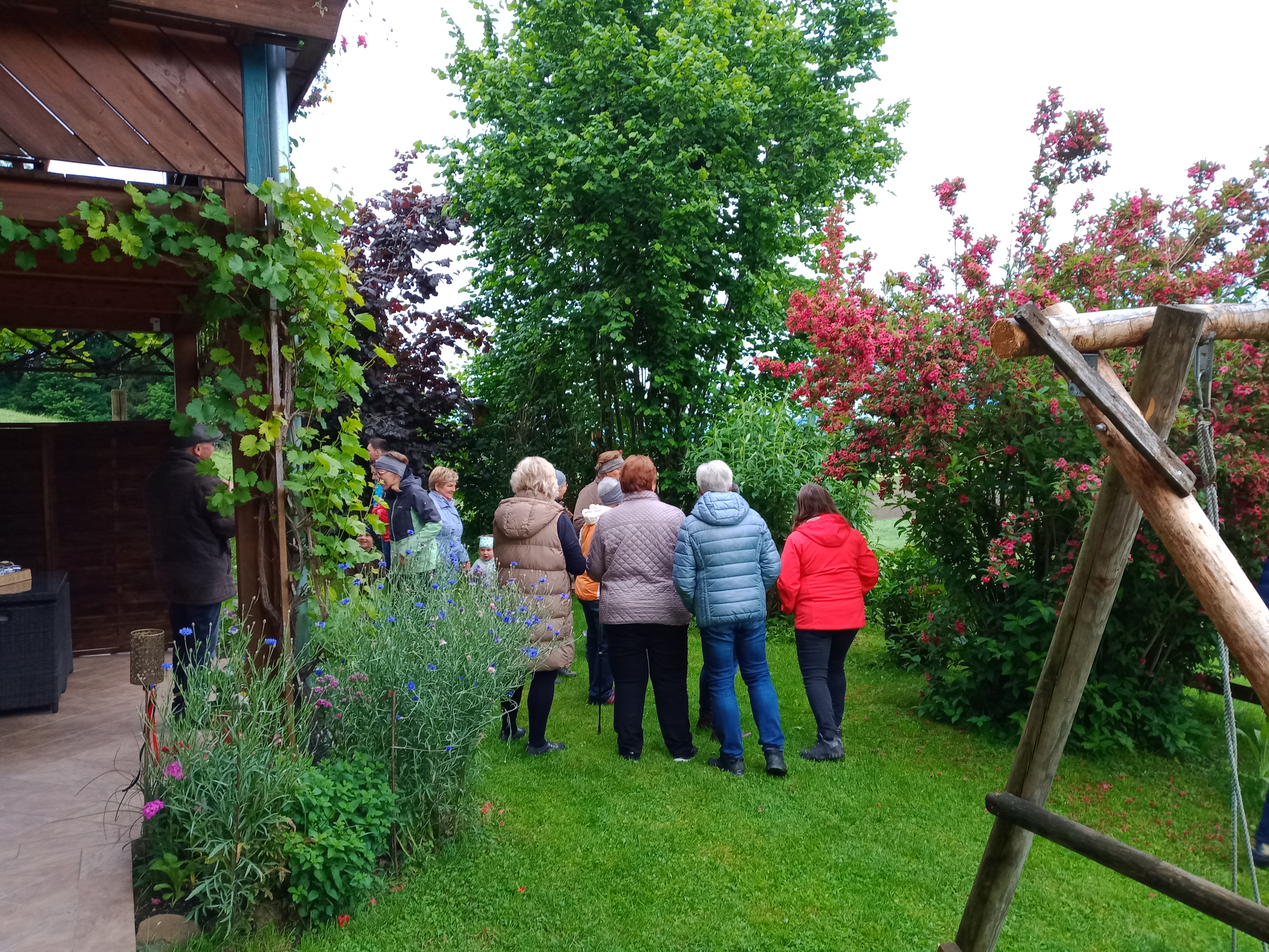 Gartenratsch